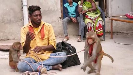 Most Funniest Street Performer With His Monkey Entertain People on Roadside in India