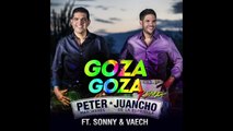Peter Manjarrés Ft. Juancho de la Espriella - Goza Goza - Remix (Cover Audio)