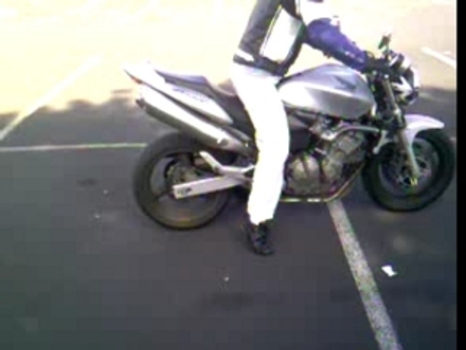 Run hornet