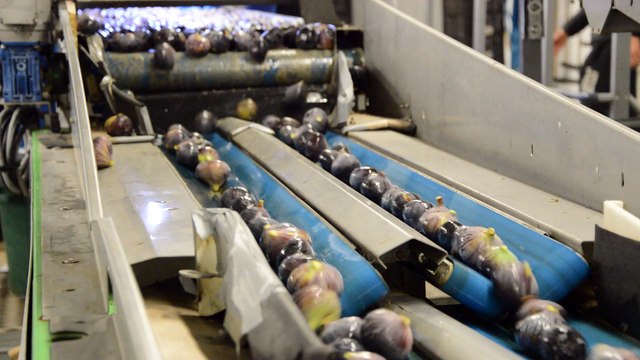 Visite CopSolFruit Sollies Pont Oct 2016 - Video 01 - 1080p