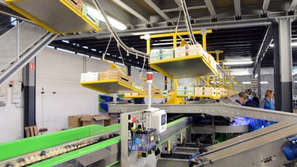 Visite CopSolFruit Sollies Pont Oct 2016 - Video 02 - 1080p