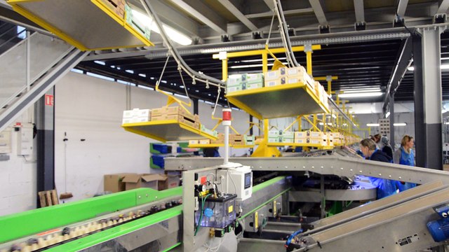 Visite CopSolFruit Sollies Pont Oct 2016 - Video 02 - 1080p