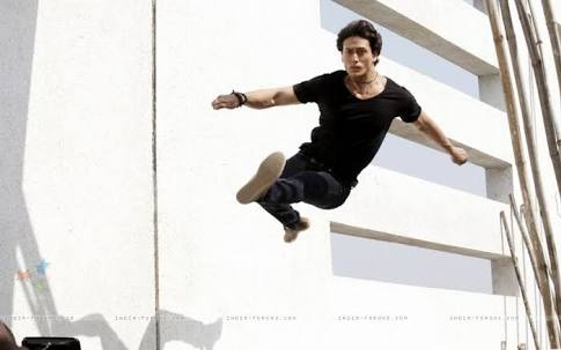 Tiger At First Day on Training_HIGH