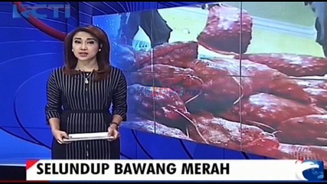 Petugas Bea Cukai Gagalkan 17 Ton Bawang Selundupan