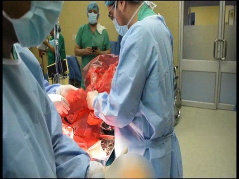 Día nacional de la donación y el trasplante de órganos