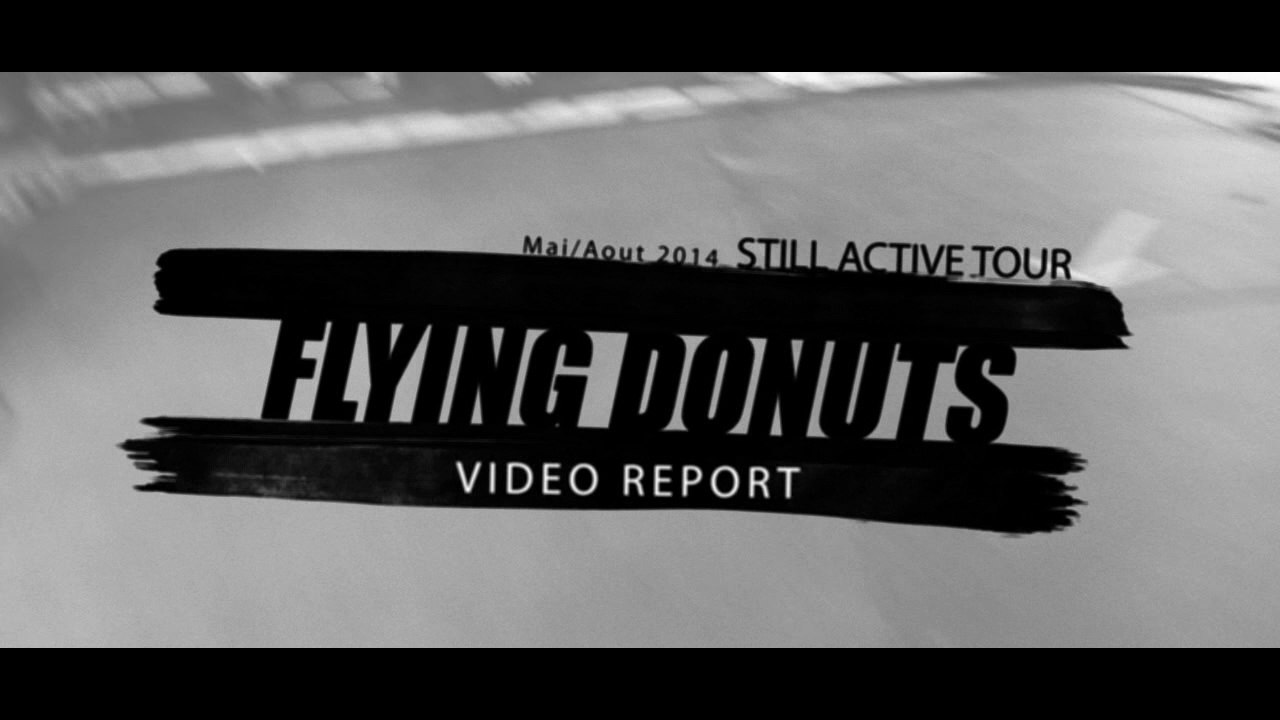 Flying Donuts - video report (2014)