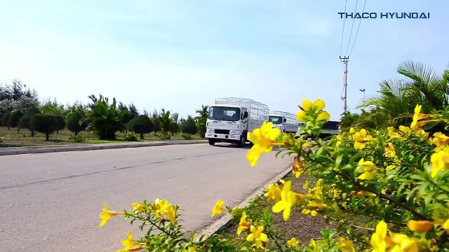 THACO HYUNDAI! ĐẲNG CẤP THƯƠNG HIỆU HÀNG ĐẦU 0933.805.186