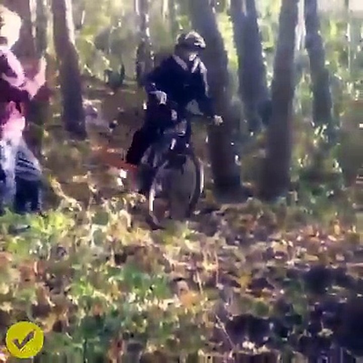 Laughing funny 54