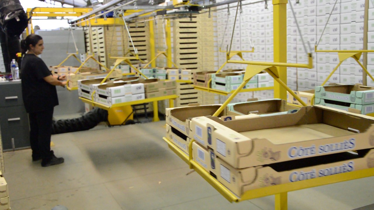 Visite CopSolFruit Sollies Pont Oct 2016 - Video 03 - 1080p