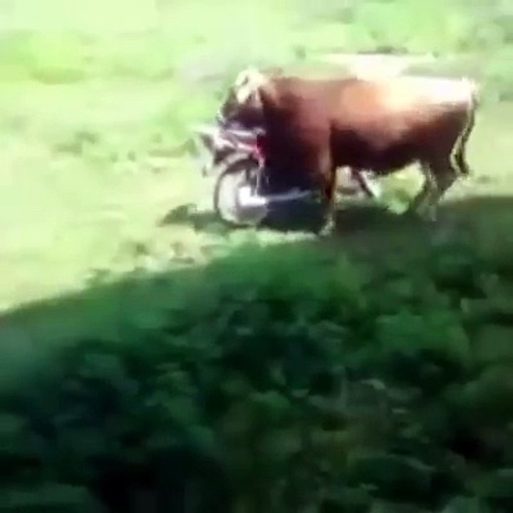 Laughing funny 63