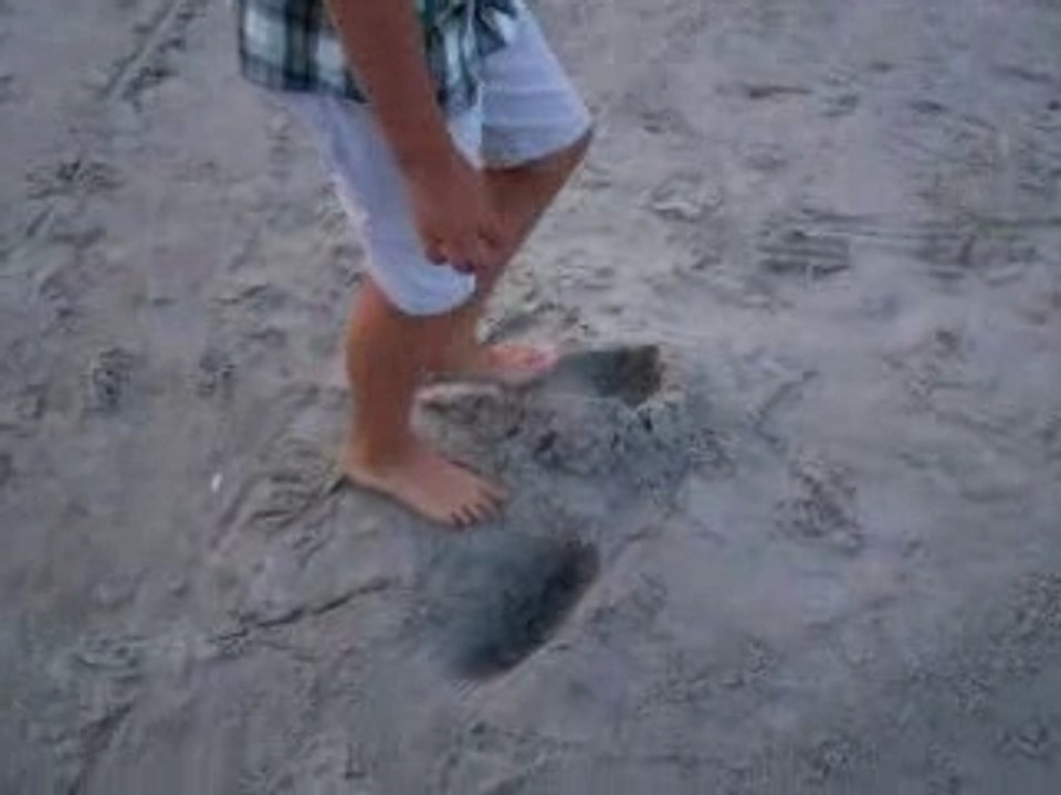 Random beach