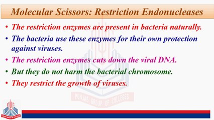 Chemical Synthesis of Gene, Molecular Scissors
