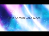 Hafiz-Ahmed-Raza-Qadri -- Hale-Dil-Kis-Ko-Sunao -- Mera-Koi-Nahi-Hai-Tere-Siwa