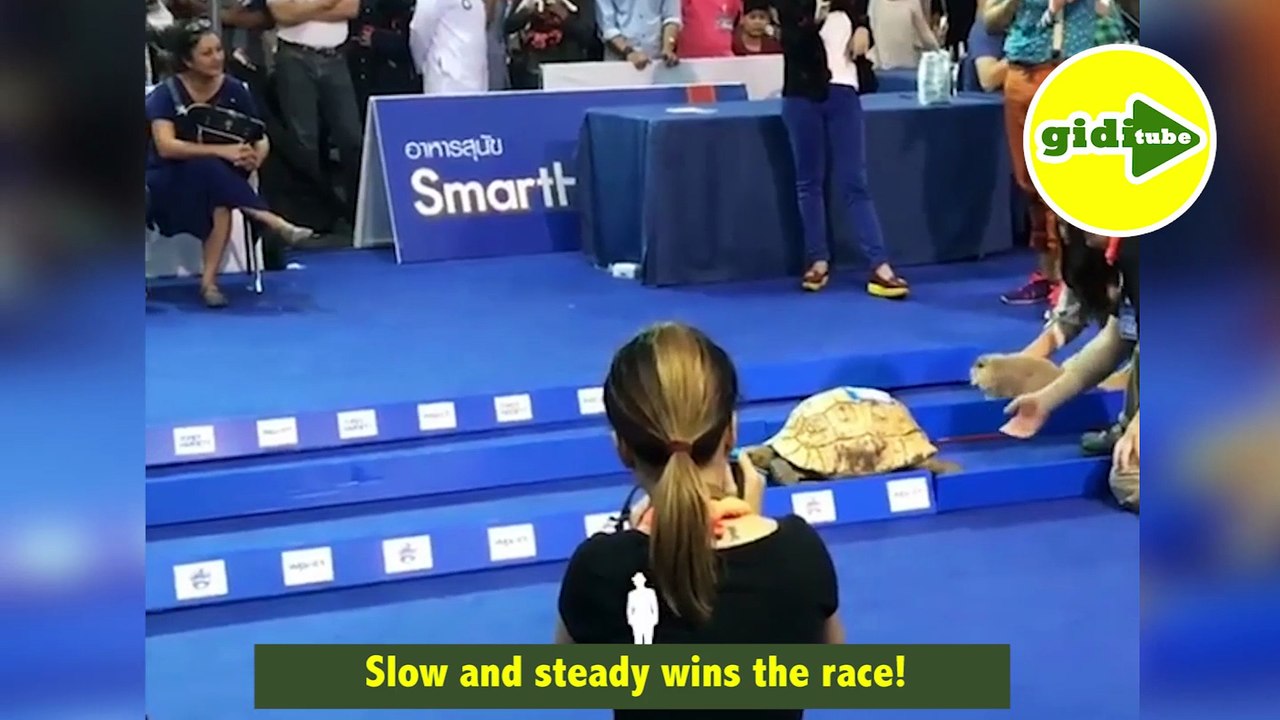 Slow and steady wins the race