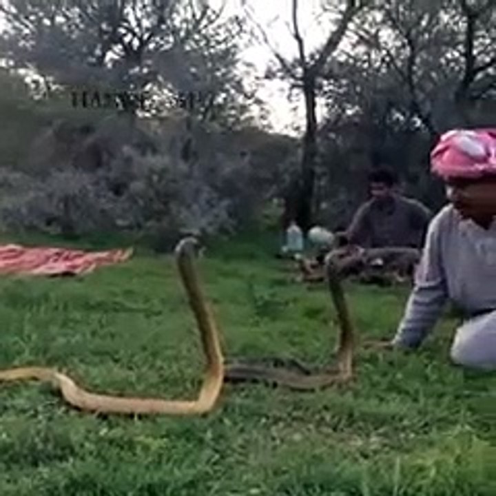 Pashto New Funny 2016   Pashto songs, Pashto New Songs, Pashto Funny Videos, Pashto Rabab Mange,