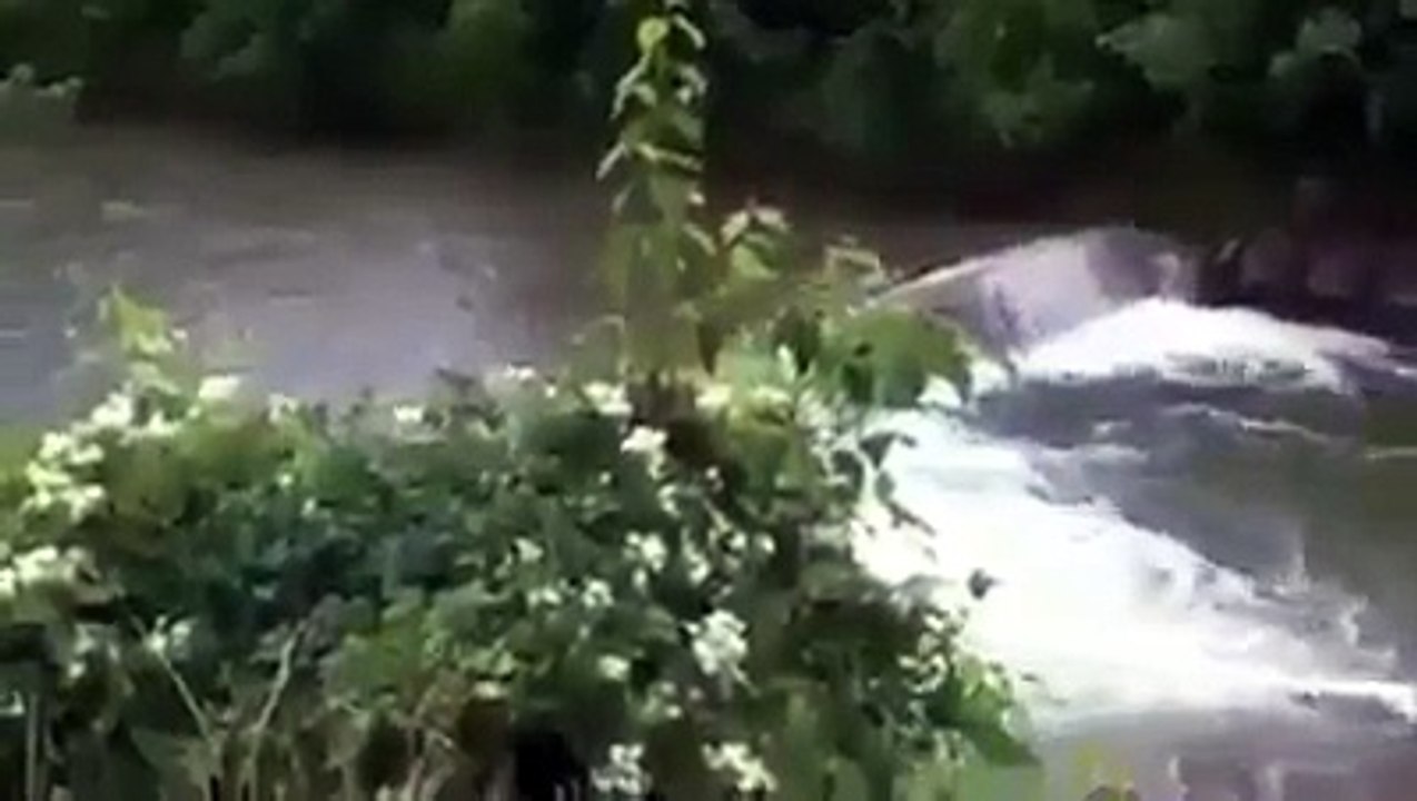 Laughing funny 76