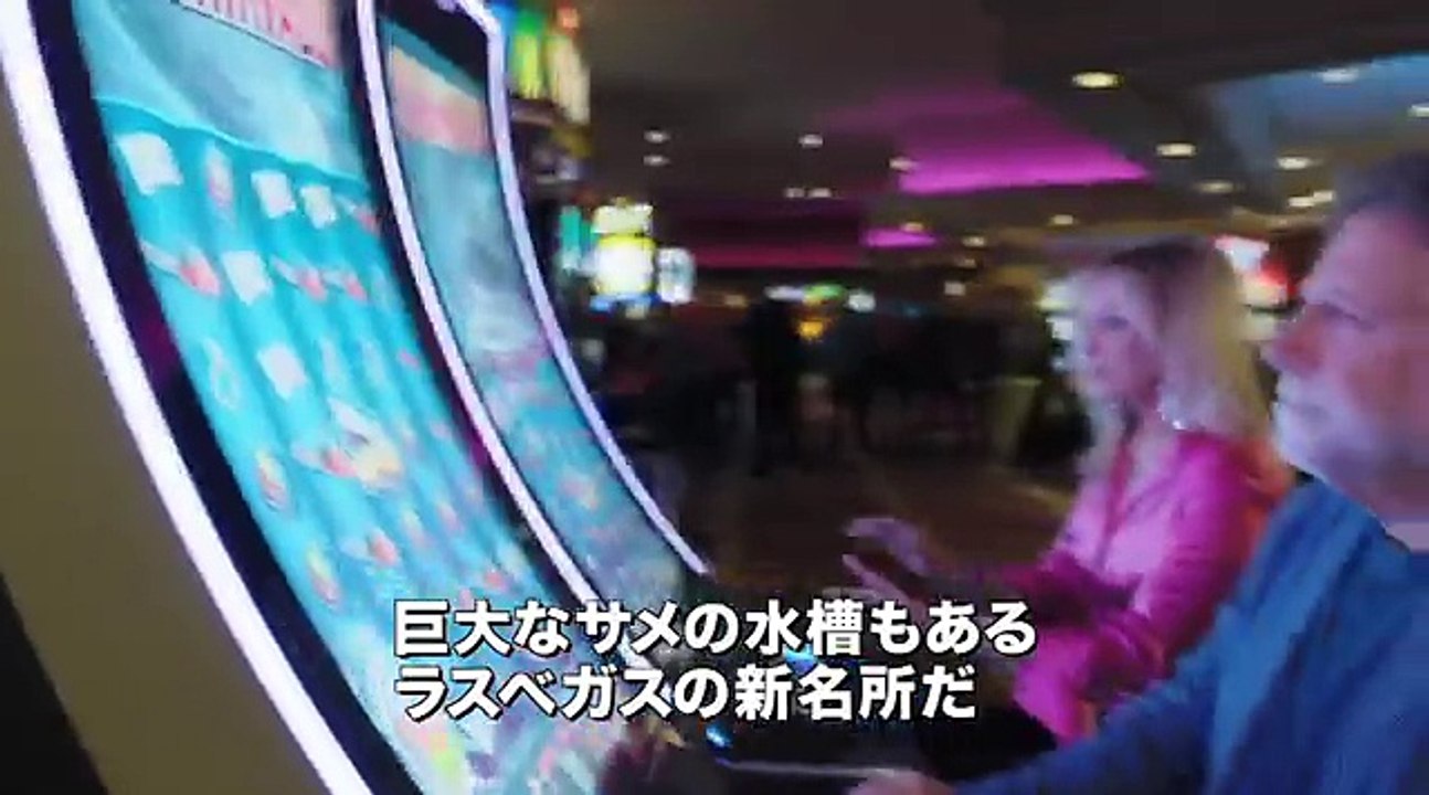 「シャークネード　ザ・フォース・アウェイクンズ」日本版予告
