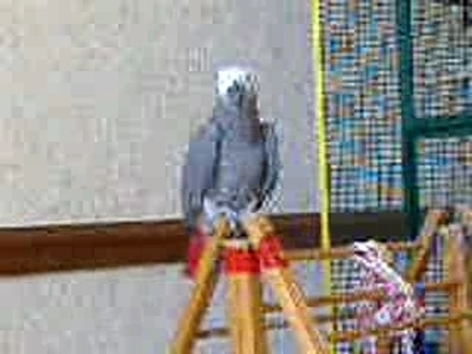 DSCF1236