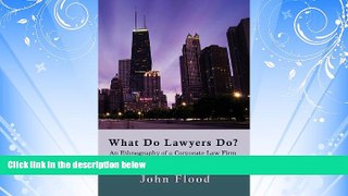 FREE PDF  What Do Lawyers Do?: An Ethnography of a Corporate Law Firm  DOWNLOAD ONLINE