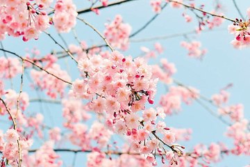 bamwar10.net 강서건마 동탄핸플 밤 전