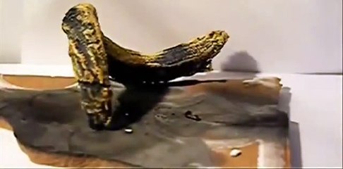 The Strangest and Weirdest Chemical Reaction in the World.