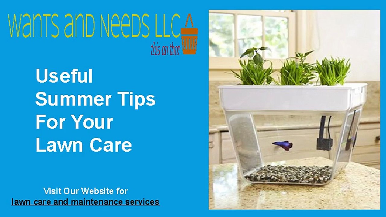 Lawn Care and Maintenance Services