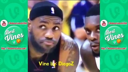 Sports Vines   Best Spors Vines   Sports Vines Compilation  Best New Vines  2015 January Part 1