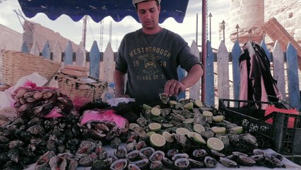 Moga Festival - Day 1