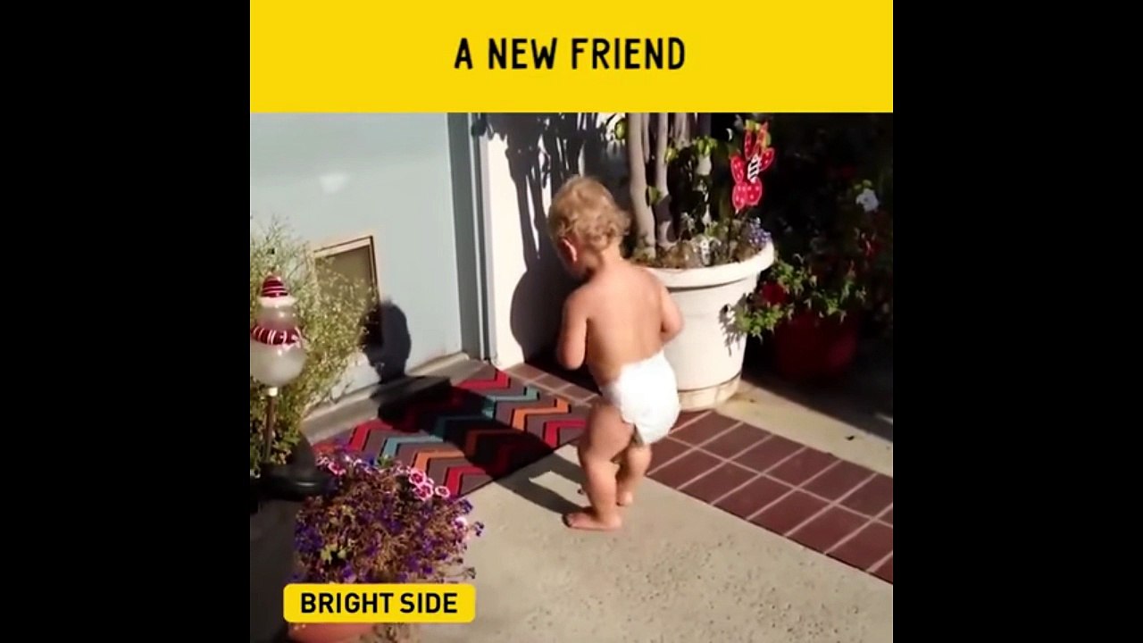 A new friend