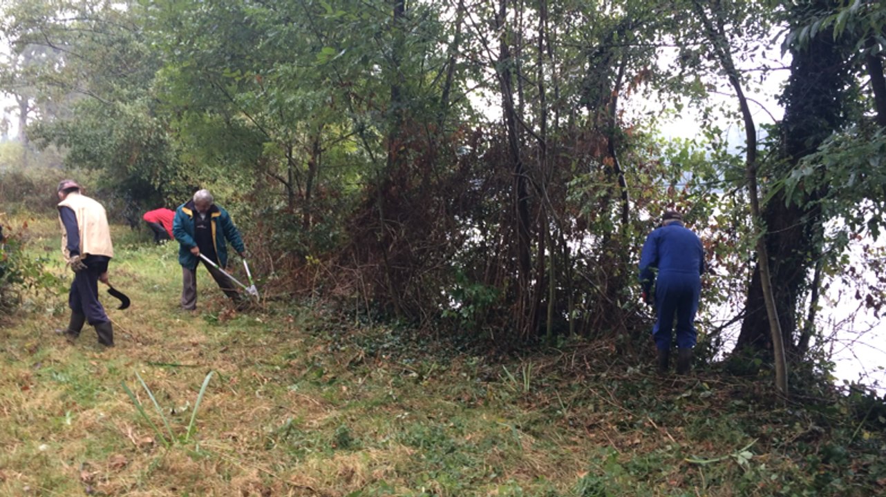 Nettoyage des rives de l'Erdre par le collectif...
