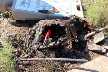 Caretta Caretta Kaplumbağasını Ateşe Vermişler