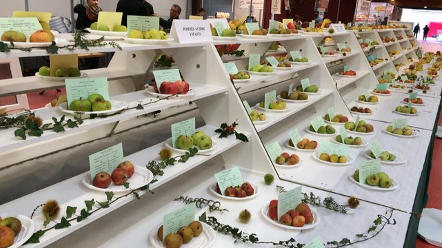 Concours pomologique, 74e foire de la pomme