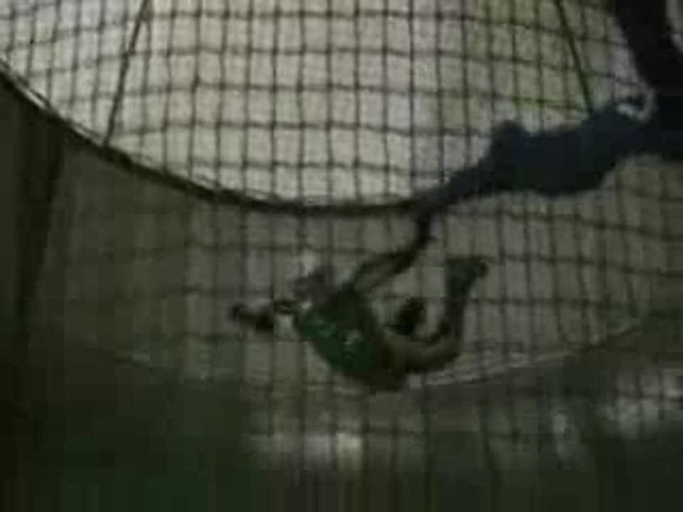 Simulation Chute Libre