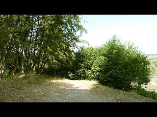 Защитник животных и злой царь