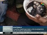 Guatemala:campesinos siguen exigiendo leyes que beneficien a indígenas