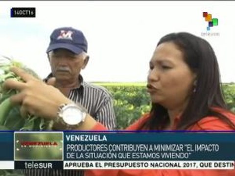 Venezuela: buscan cubrir 30 mil hectáreas de sembradíos en Anzoátegui