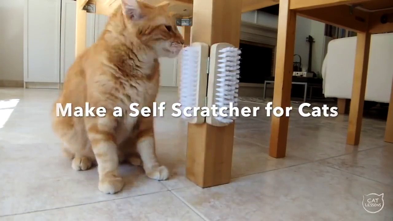 IL VISSE DEUX CHARNIÈRES À DEUX BROSSES BIEN ORDINAIRES! CET HOMME EST UN GÉNIE!