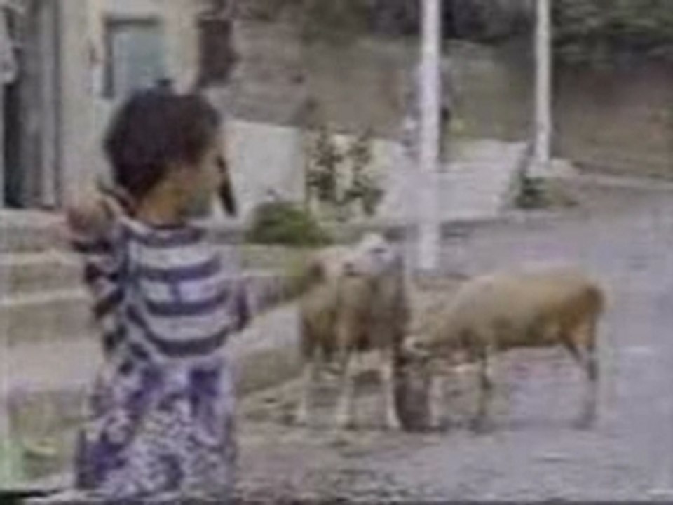 Reportage terrorisme Algérie gia 4eme partie