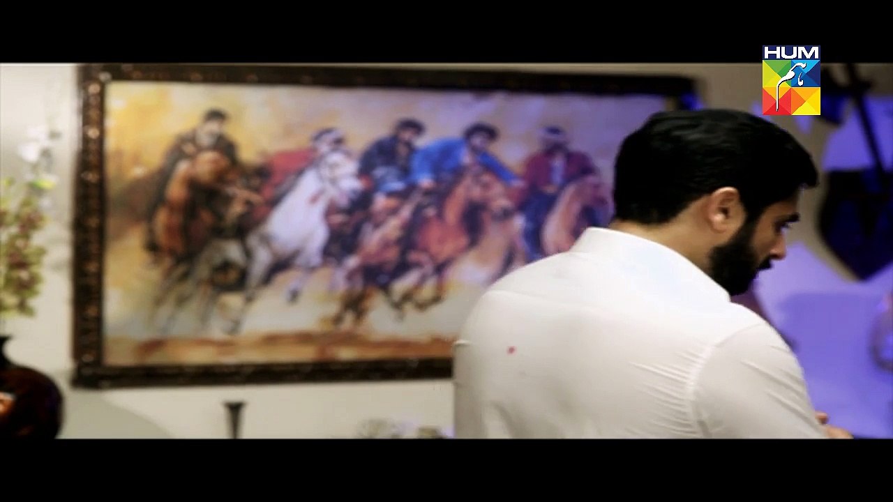 Laaj Eds 11 L    HUM TV Drama 15 October 2016