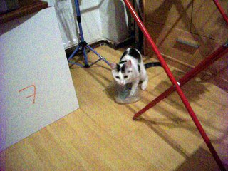 Vinzent am 14.10.2016