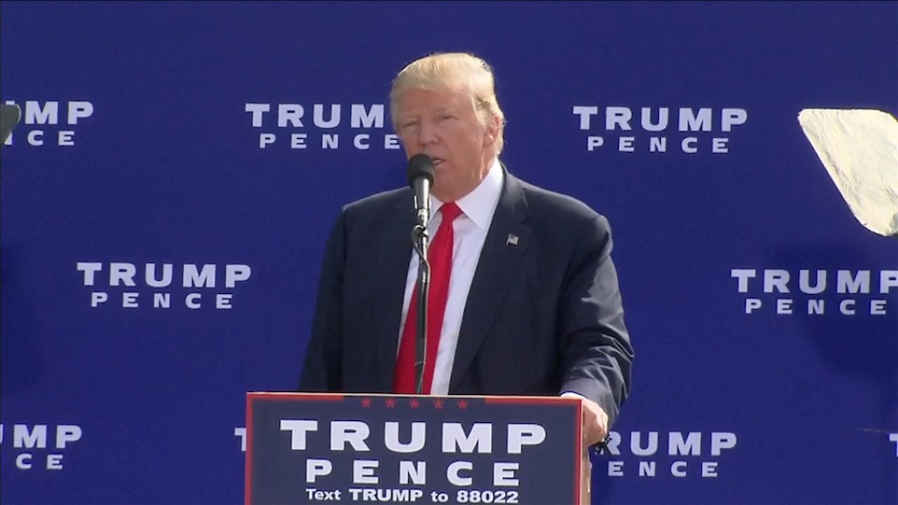 Trump asks New Hampshire crowd, 'Why aren't I up through the roof?'