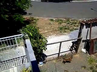 Can't stop laugh!! Must watch