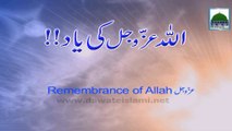 ALLAH اللہ Ki Yaad - Short Video - Maulana Ilyas Qadri