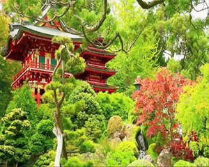 Minor Empire - Sen Bu Yaylaları Yaylayamazsın