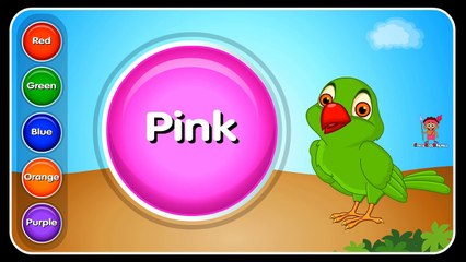 How to Teach Colors to Children with Talking Parrot? | Preschool Learning Videos | Color Lesson