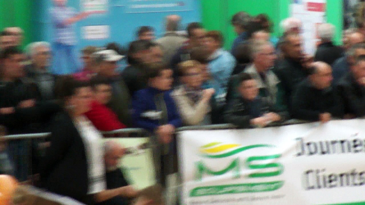 pontivy 2016