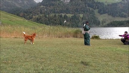 Tolling - Phase de tolling