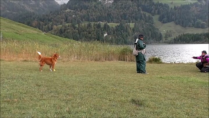 Tolling - Phase de tolling