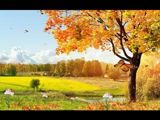 MAGNIFIQUE RÉCITATION DU CORAN A PLEURER D'ÉMOTION !!